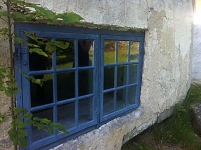 uutiskuvitus IMG_5781_lo